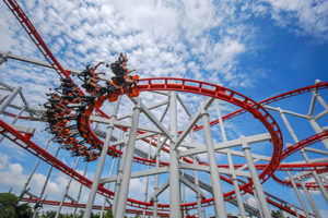Common Amusement Park Injuries More Down-to-Earth than Expected